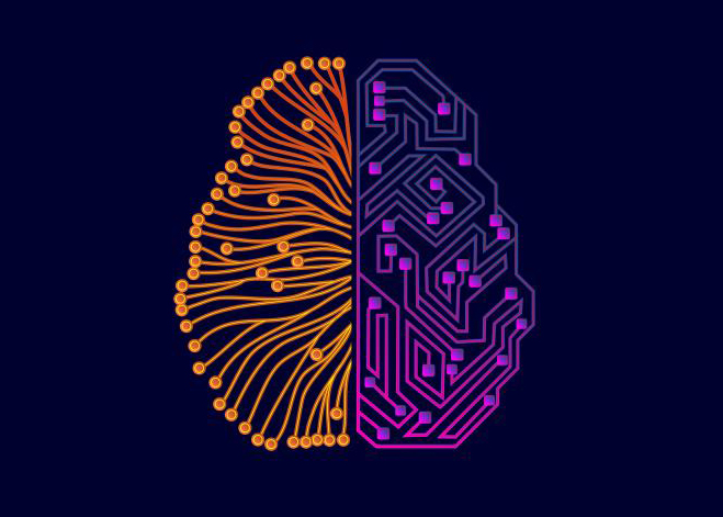 Un cervello costituito da neuroni e reti neurali artificiali, simbolo dell'interazione tra uomo e macchina grazie a tool di Intelligenze Artificiali.